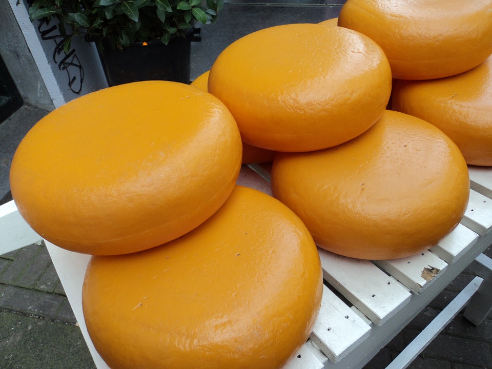 Gouda